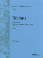 VARIATIONS ON A THEME BY JOSEPH HAYDN IN