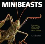 Minibeasts