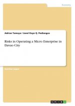 Risks in Operating a Micro Enterprise in Davao City