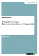 Kollegiale Beratung als Interventionsmaßnahme in der Jugendhilfe