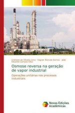 Osmose reversa na geraç?o de vapor industrial