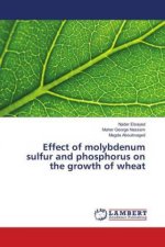 Effect of molybdenum sulfur and phosphorus on the growth of wheat