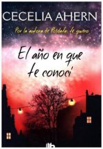 El año en que te conocí