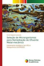 Seleç?o de Microrganismos para Remediaç?o de Efluente Metal-mecânico