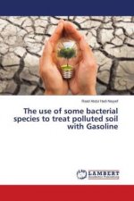 The use of some bacterial species to treat polluted soil with Gasoline