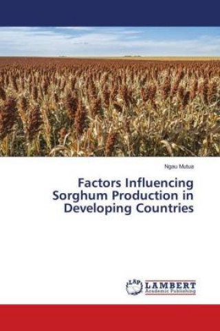 Factors Influencing Sorghum Production in Developing Countries