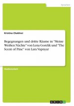 Begegnungen und dritte Räume in 
