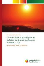 Construç?o e avaliaç?o de coletor de baixo custo em Palmas - TO