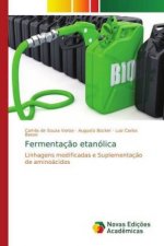 Fermentaç?o etanólica
