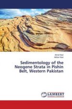 Sedimentology of the Neogene Strata in Pishin Belt, Western Pakistan