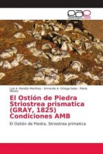 Ostion de Piedra Striostrea prismatica (GRAY, 1825) Condiciones AMB
