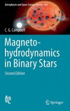 Magnetohydrodynamics in Binary Stars