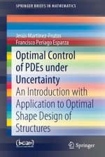 Optimal Control of PDEs under Uncertainty