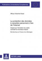 Protection Des Donnees a Caractere Personnel A L'Ere de L'Internet