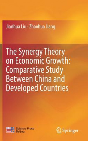 Synergy Theory on Economic Growth: Comparative Study Between China and Developed Countries