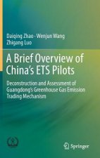 Brief Overview of China's ETS Pilots