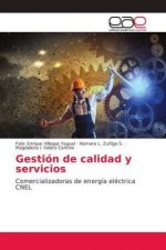 Gestion de calidad y servicios