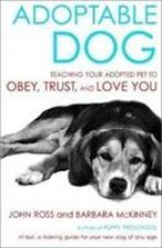 Adoptable Dog
