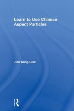 Learn to Use Chinese Aspect Particles