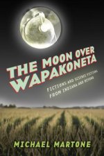 Moon over Wapakoneta