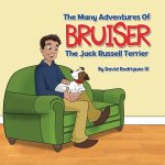 Many Adventures of Bruiser The Jack Russell Terrier