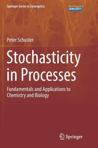 Stochasticity in Processes
