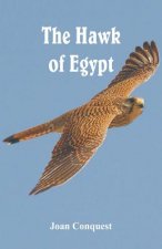Hawk of Egypt