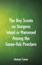 Boy Scouts on Sturgeon Island