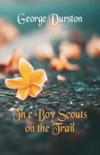 Boy Scouts on the Trail