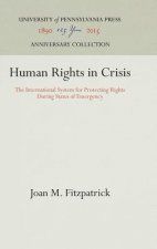 Human Rights in Crisis