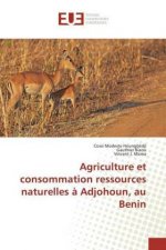 Agriculture et consommation ressources naturelles ? Adjohoun, au Benin