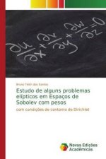 Estudo de alguns problemas elipticos em Espacos de Sobolev com pesos