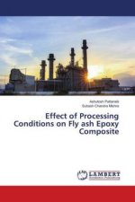 Effect of Processing Conditions on Fly ash Epoxy Composite