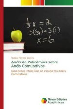 Aneis de Polinomios sobre Aneis Comutativos