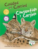 CUDDLED AND CARRIED CONSENTIDO Y CARG