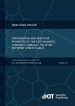 Deformation and Fracture Properties of the Soft Magnetic Composite Somaloy 700 3P on Different Length Scales