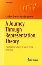 Journey Through Representation Theory