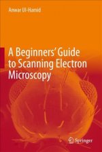 Beginners' Guide to Scanning Electron Microscopy