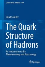 Quark Structure of Hadrons