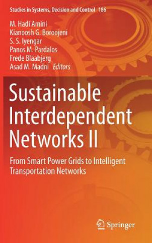 Sustainable Interdependent Networks II