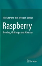 Raspberry