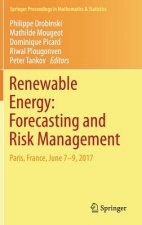 Renewable Energy: Forecasting and Risk Management