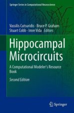 Hippocampal Microcircuits