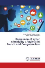 Repression of cyber criminality