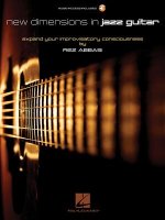 New Dimensions in Jazz Guitar, Gitarre