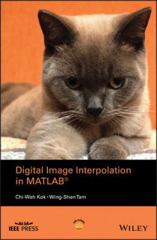 Digital Image Interpolation in MATLAB (R)