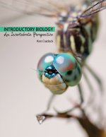 Intro Biology
