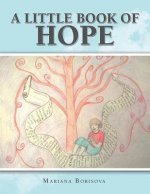 Little Book of Hope