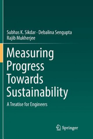 Measuring Progress Towards Sustainability