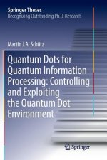 Quantum Dots for Quantum Information Processing: Controlling and Exploiting the Quantum Dot Environment